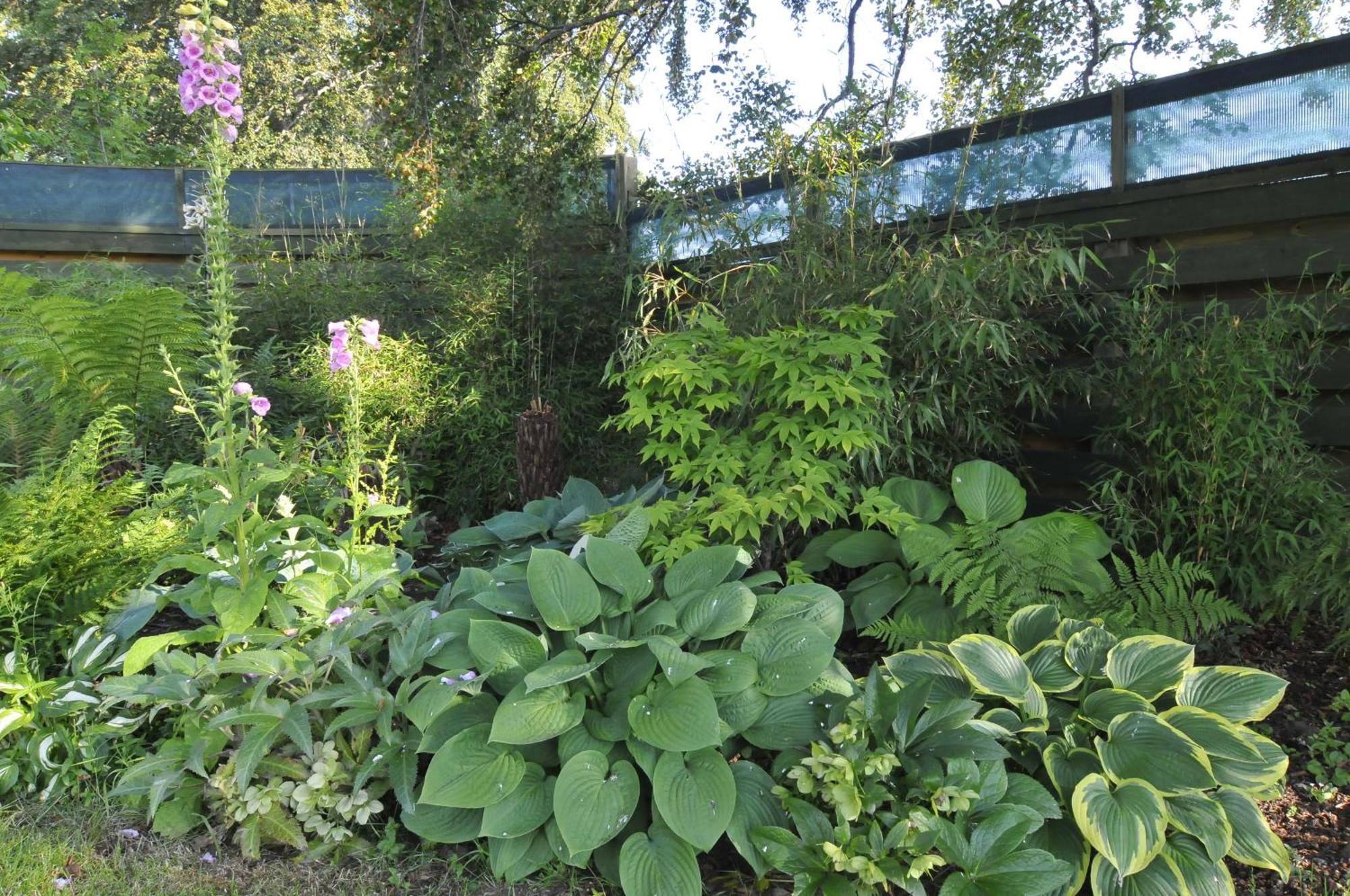Home Farm Bed And Breakfast Muir of Ord Esterno foto