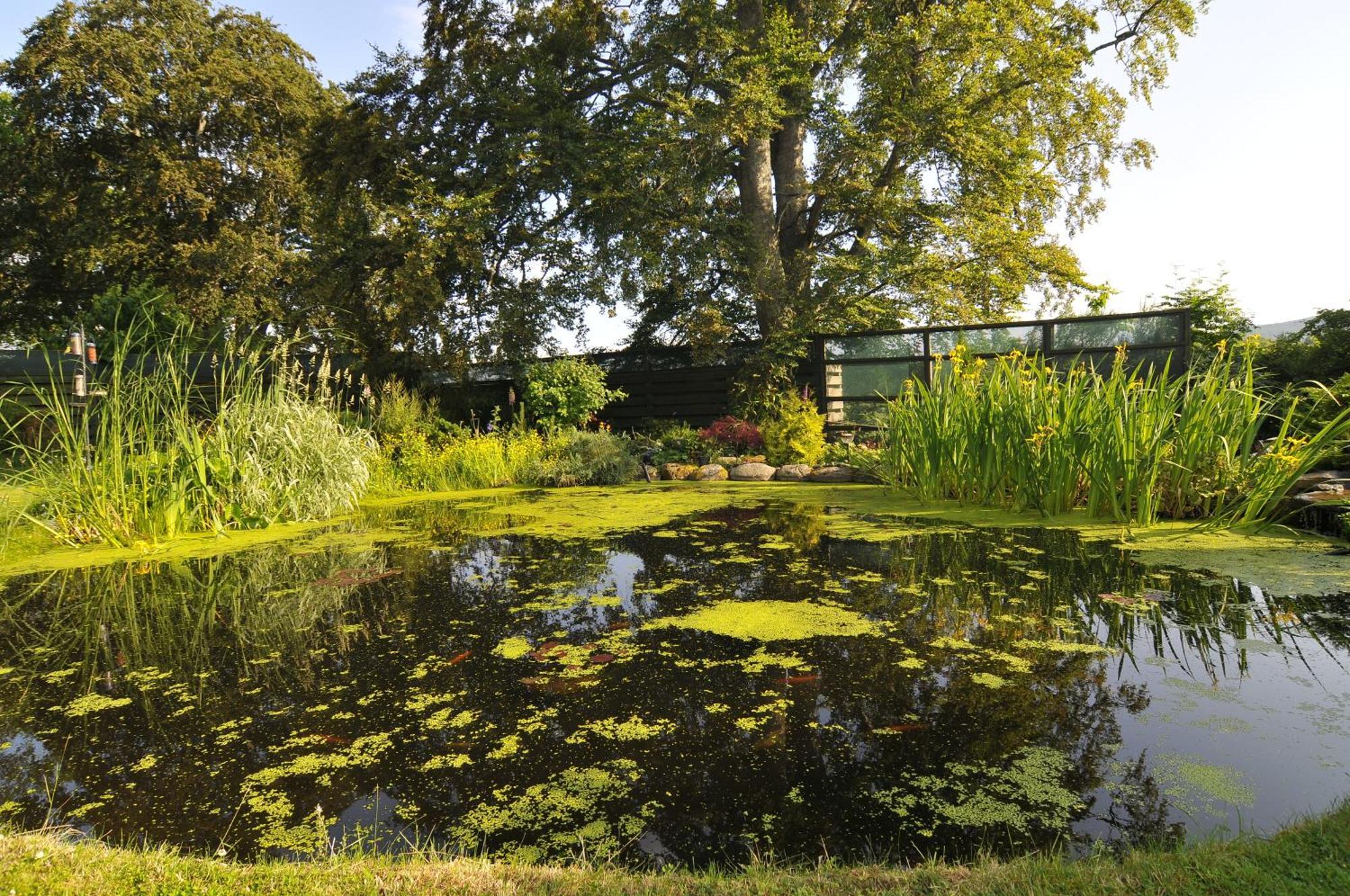 Home Farm Bed And Breakfast Muir of Ord Esterno foto